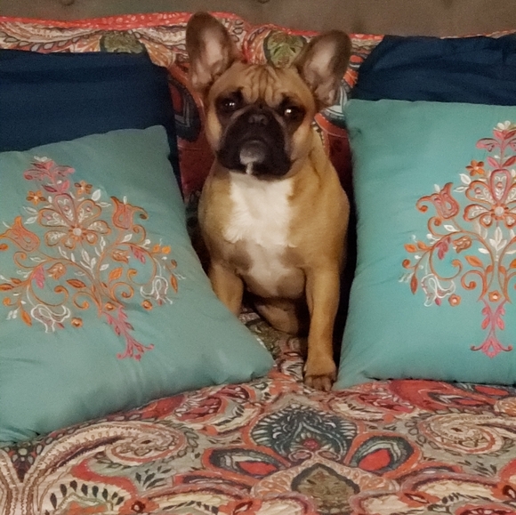 Meet your Posher, Annette - Picture 6 of 15